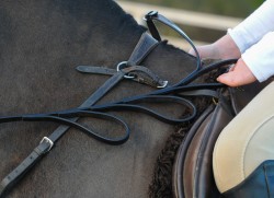 Alice Reins Help A 11 Year Old Boy Who Has One Hand!